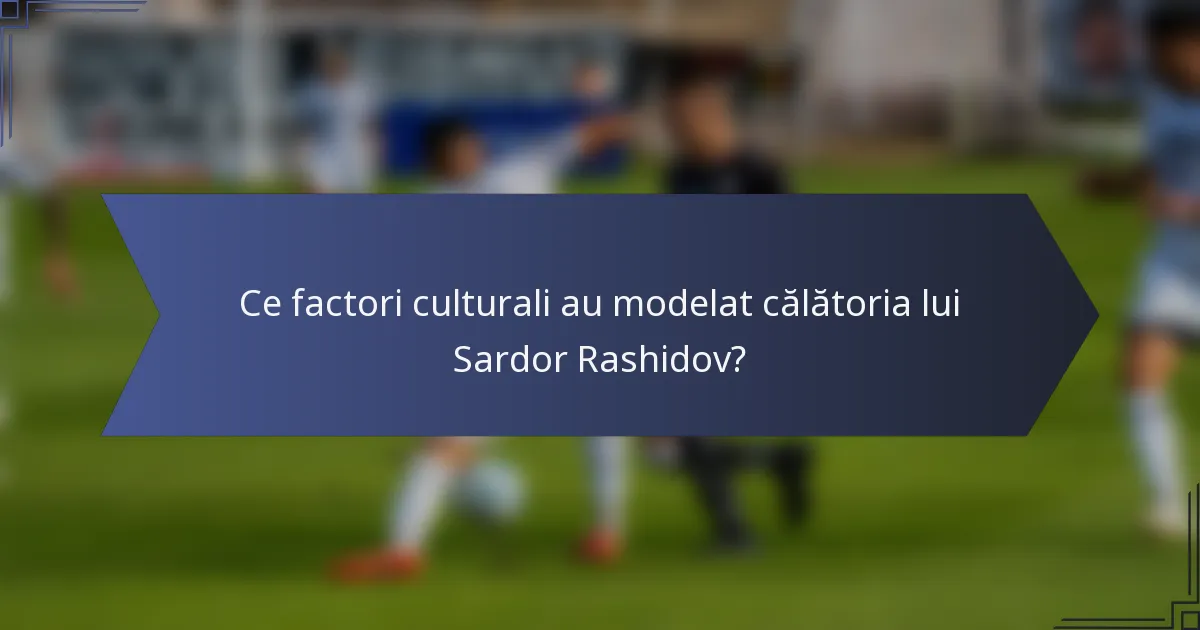 Ce factori culturali au modelat călătoria lui Sardor Rashidov?